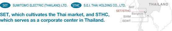 SET, which cultivates the Thai market, and STHC, which serves as a corporate center in Thailand