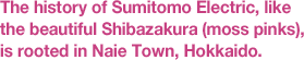 The history of Sumitomo Electric, like the beautiful Shibazakura (moss pinks), is rooted in Naie Town, Hokkaido.