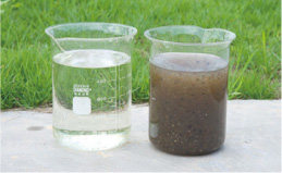(Left) After MBR treatment (Right) Before MBR treatment Sampled in Shinpyon Sewage Treatment Plant