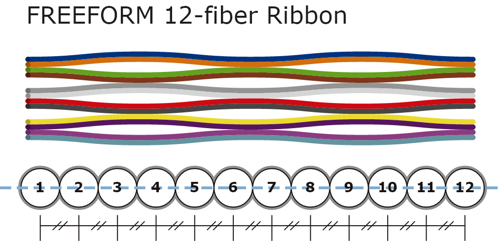 FREEFORM 12-fiber Ribbon