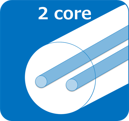 2 core