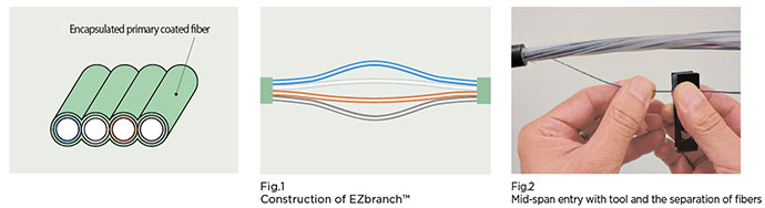 Fiber Ribbon for M 0.25 mm (UV) Primary Coated Fiber id-Span Entry (EZ branch™	)