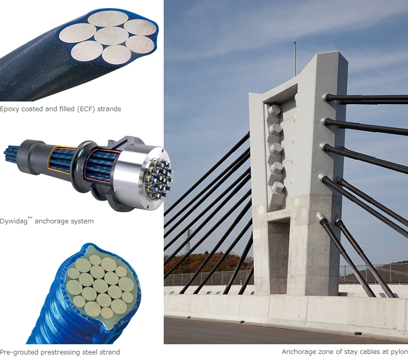 Epoxy coated and filled (ECF) strands Dywidag™ anchorage system Pre-grouted prestressing steel strand Anchorage zone of stay cables at pylon
